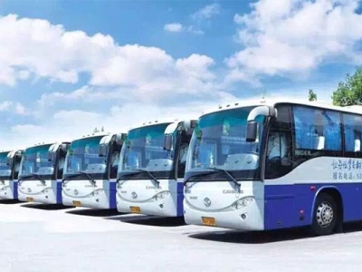 如何快速拿到駕照