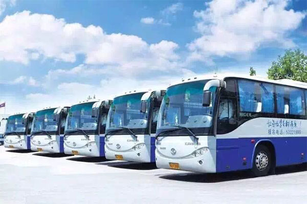 如何快速拿到駕照