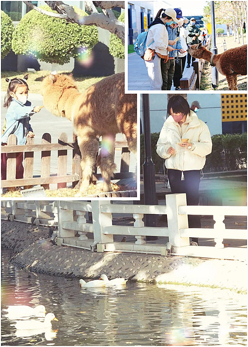 北京東方時尚駕校怎么樣大眾點評