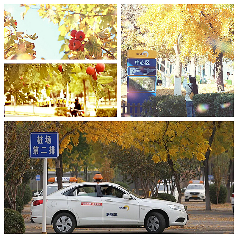 駕照科目三安全文明駕駛常識(shí)